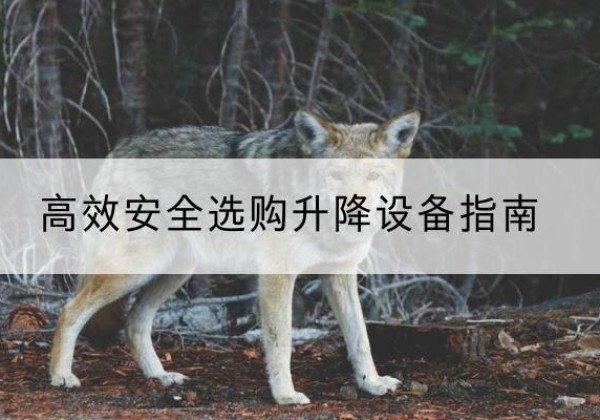 黄南升降货梯厂家推荐-*安全选购升降设备指南