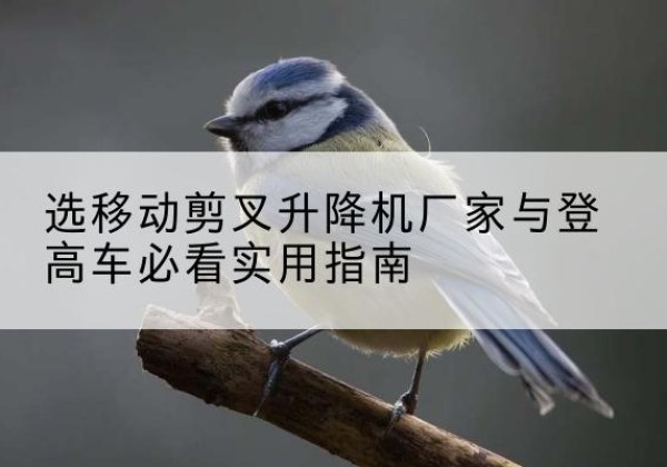 黄南电动升降机厂家-选移动剪叉升降机厂家与登高车必看实用指南