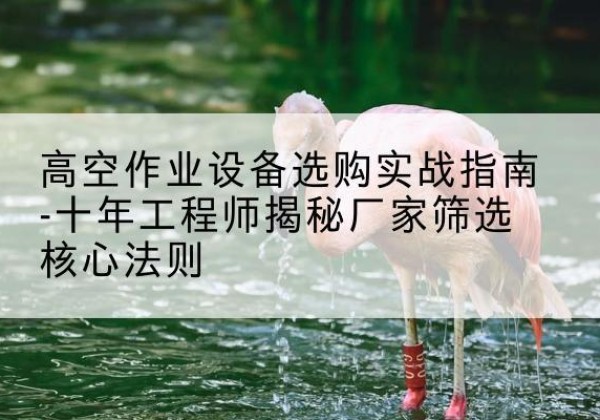 黄南剪叉式升降机厂家-高空作业设备选购实战指南-十年工程师揭秘厂家筛选核心法则